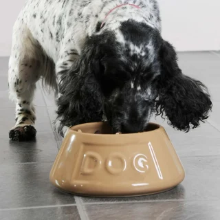 Bol cerámico antivuelco para mascotas Cane Mason Cash