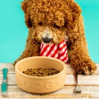 Bol cerámico para perros y mascotas Mason Cash