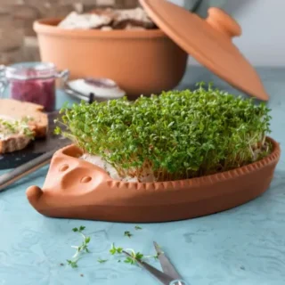 Germinador para semillas de terracota Römertopf