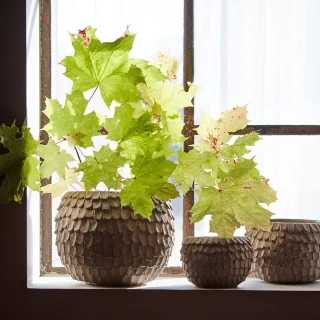 Maceta Fudge de Affari of Sweden