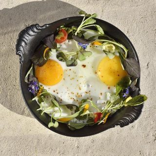 Platos redondos de porcelana Revol