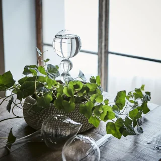 Accesorio de cristal autorriego Olivia de Affari of Sweden